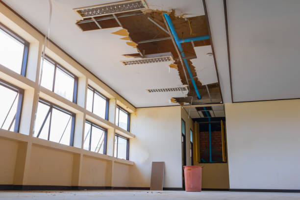 Best Emergency water damage restoration  in Viroqua, WI