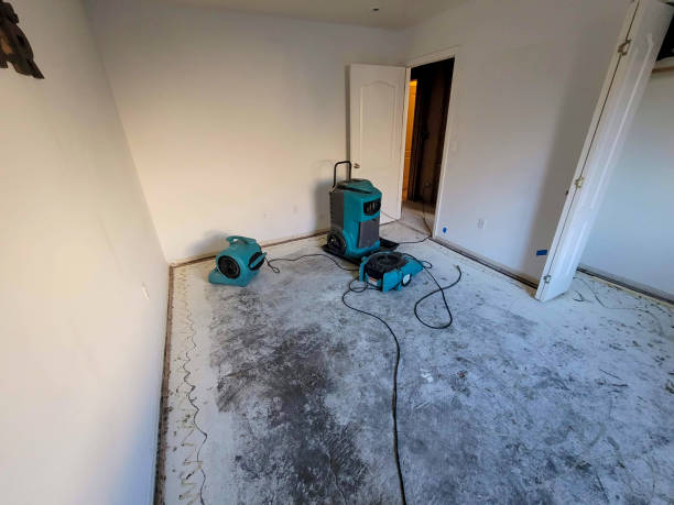 Best 24-hour water damage restoration  in Viroqua, WI