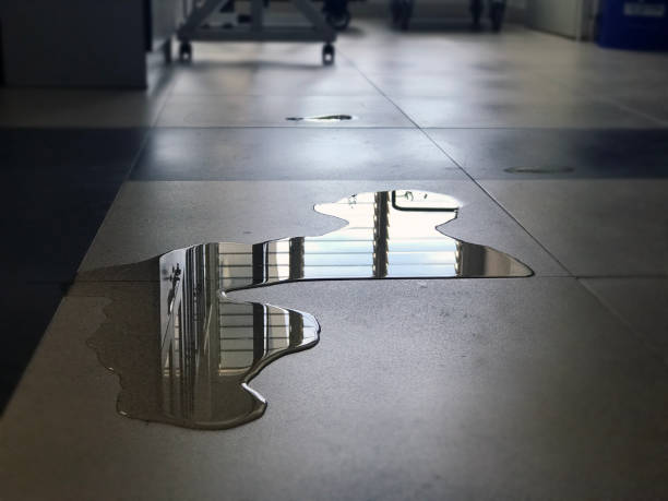 Best Professional water damage repair  in Viroqua, WI