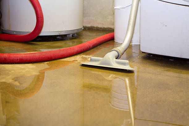 Best Local water damage restoration  in Viroqua, WI