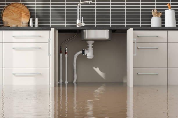 Best Water damage restoration mold remediation  in Viroqua, WI