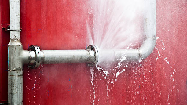Best 24/7 water damage repair  in Viroqua, WI